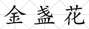 金盞花