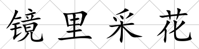 鏡里采花
