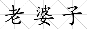 老婆子