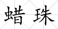 蠟珠