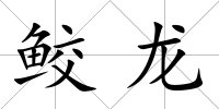 鮫龍
