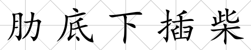肋底下插柴