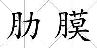 肋膜