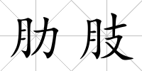 肋肢