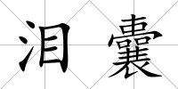淚囊