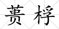 蕢桴