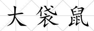 大袋鼠