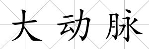 大動(dòng)脈