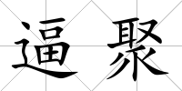逼聚