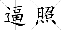 逼照
