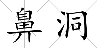 鼻洞