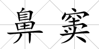 鼻竇