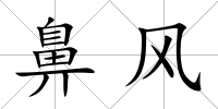 鼻風(fēng)