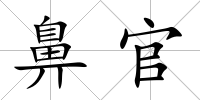 鼻官