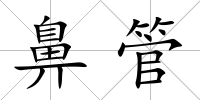 鼻管
