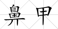 鼻甲