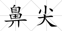 鼻尖