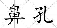 鼻孔