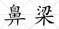 鼻梁