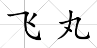 飛丸