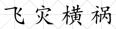 飛災橫禍