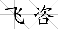 飛咨