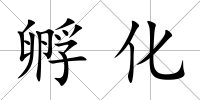 孵化