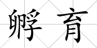 孵育