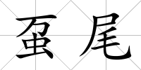 蠆尾