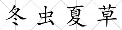 冬蟲夏草