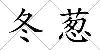 冬蔥