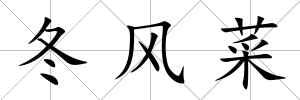 冬風(fēng)菜