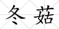 冬菇