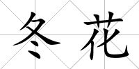 冬花