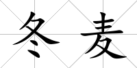 冬麥