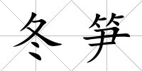 冬筍