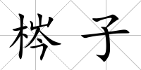 梣子