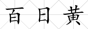 百日黃