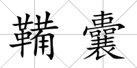 鞴囊
