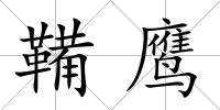 鞴鷹