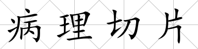 病理切片