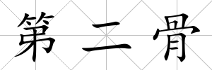第二骨