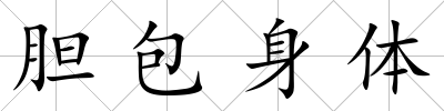 膽包身體