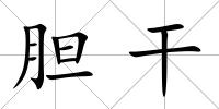 膽干