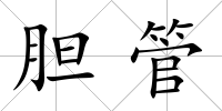 膽管