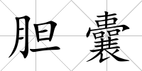 膽囊