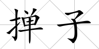 撣子