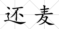 還麥