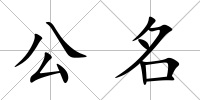 公名