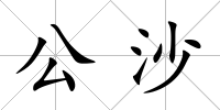 公沙